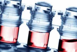 Fulfilling the Promise of Precision Medicine Solutions