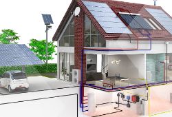 Sustainability Begins at (the Smart) Home