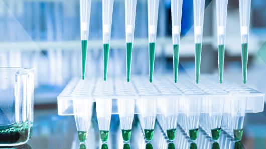 rapid-diagnostic-testing-solutions